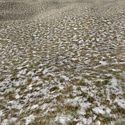 Frozen Grass 1024x1024 vol.6
