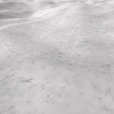 Frozen Grass 1024x1024 vol.6