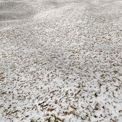 Frozen Grass 1024x1024 vol.6