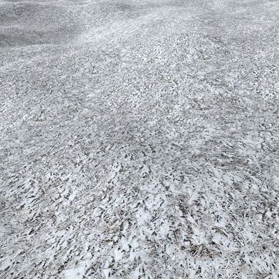 Frozen Grass 1024x1024 vol.6