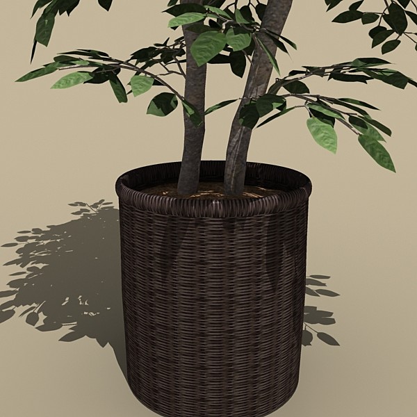 3d model plant potted - plant_potted_c by monkeyodoom