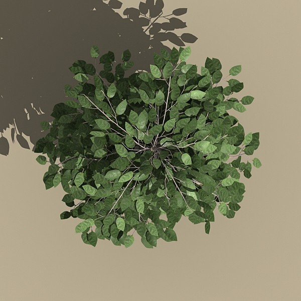 3d model plant potted - plant_potted_c by monkeyodoom