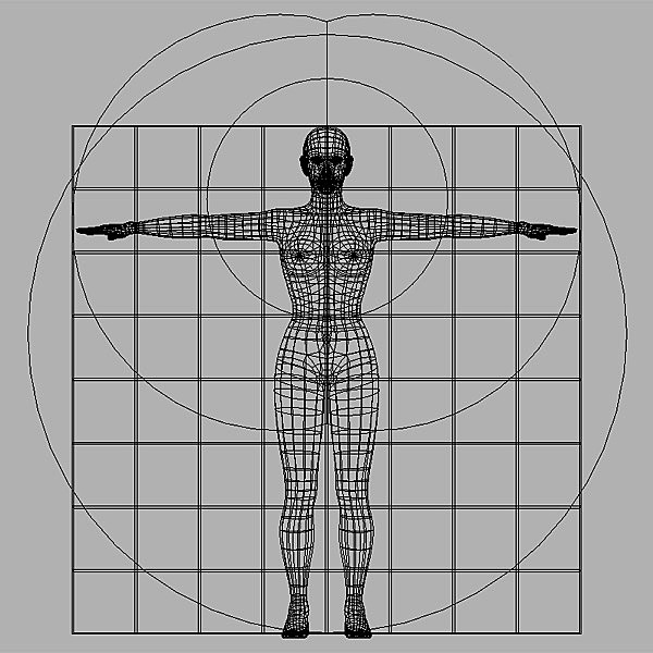 3d model of woman proportional human body - Woman Body with modeling proportions by Lauranar
