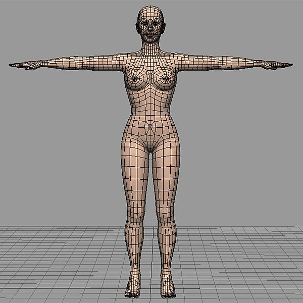 3d model of woman proportional human body - Woman Body with modeling proportions by Lauranar