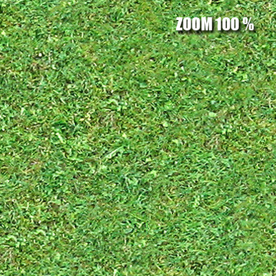 Gras texture #01 - tileable