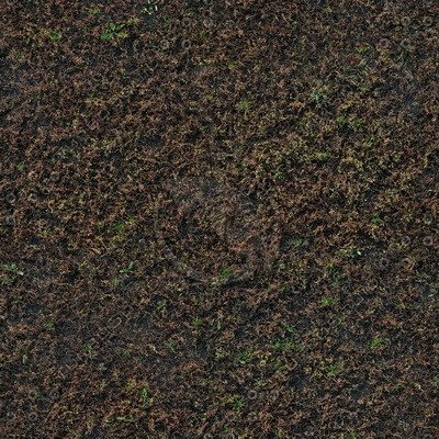 Grass Textures 2048x2048 vol.8