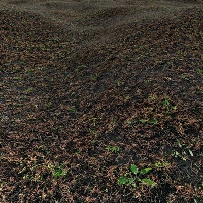 Grass Textures 2048x2048 vol.8