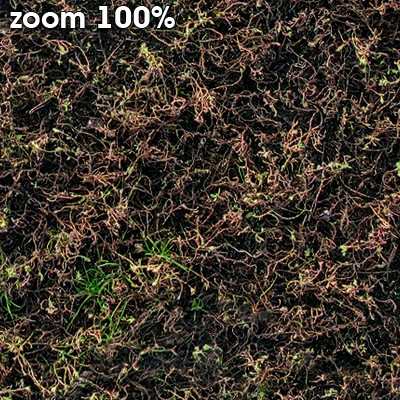 Grass Textures 2048x2048 vol.8