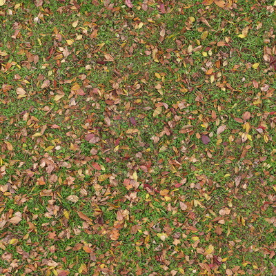 Grass Textures 2048x2048 vol.8