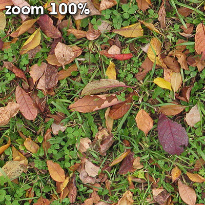 Grass Textures 2048x2048 vol.8