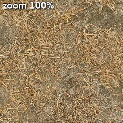 Grass Textures 2048x2048 vol.8