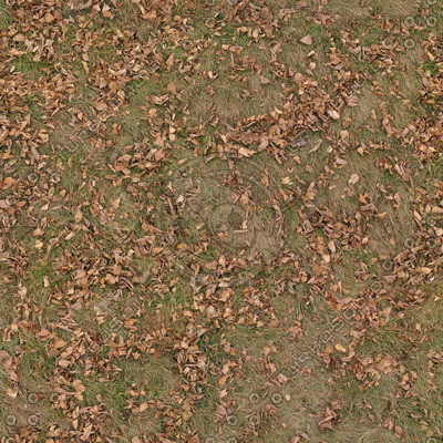 Grass Textures 2048x2048 vol.8