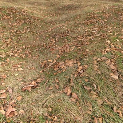 Grass Textures 2048x2048 vol.8