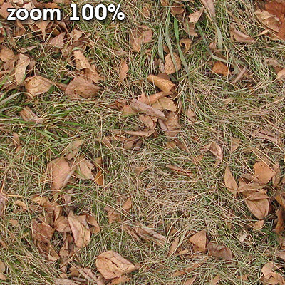 Grass Textures 2048x2048 vol.8