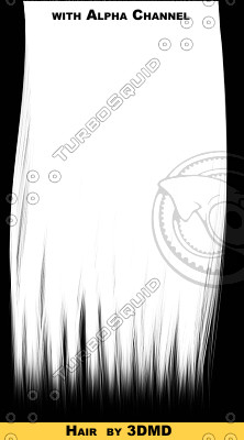 brownHair_080.tga