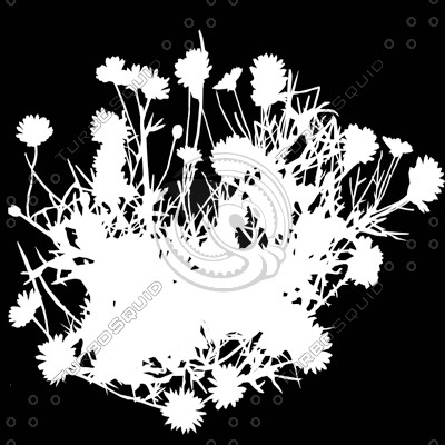 Flower_H_13.tga