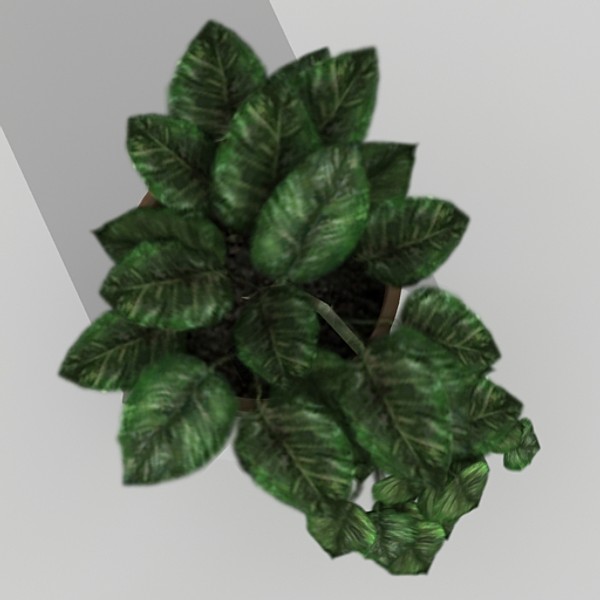 ficus 3d model - Ficus by fabelar