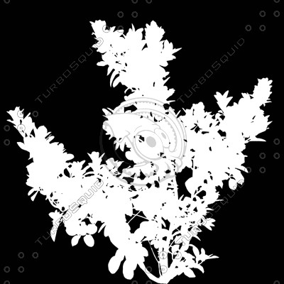 Bush_S_16.tga