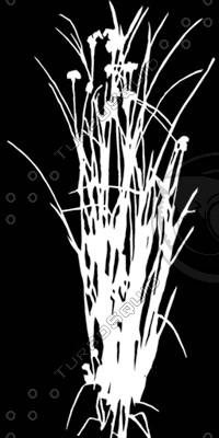 BushL_06.tga