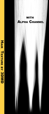blondeHairTexture_000.tga