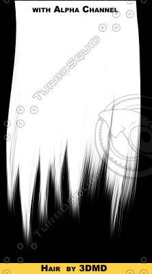 brownHair_050.tga
