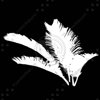 Branch_s_41.tga