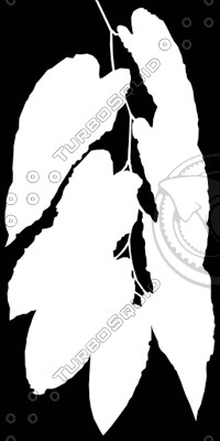 Branch_tropic_3.tga