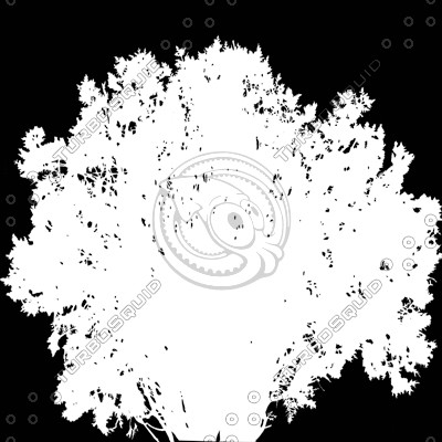 Bush_S_13.tga