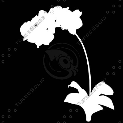 Flower_V_05.tga