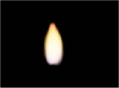 flame.pdf