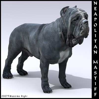 extensive dog 2 fbx - 12 Dogs Collection (2) by Massimo Righi