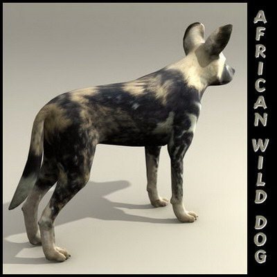 extensive dog 2 fbx - 12 Dogs Collection (2) by Massimo Righi