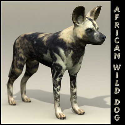 extensive dog 2 fbx - 12 Dogs Collection (2) by Massimo Righi