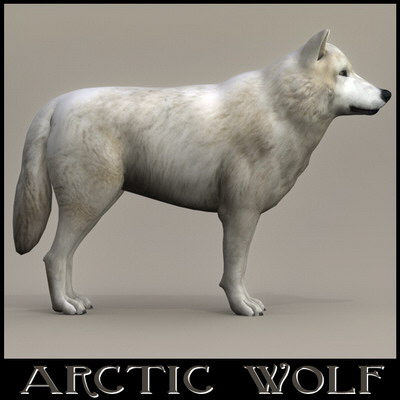 extensive dog 2 fbx - 12 Dogs Collection (2) by Massimo Righi