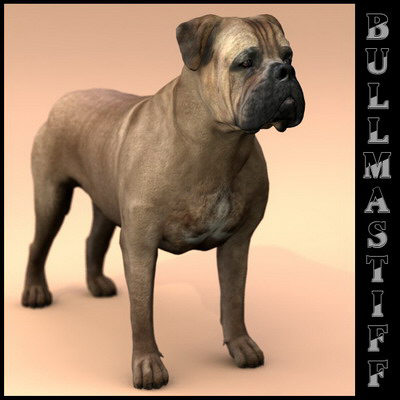 extensive dog 2 fbx - 12 Dogs Collection (2) by Massimo Righi