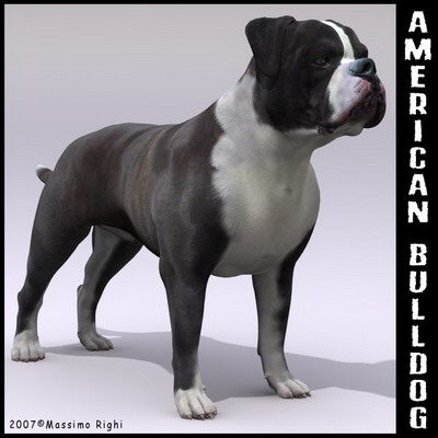 extensive dog 2 fbx - 12 Dogs Collection (2) by Massimo Righi