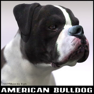 extensive dog 2 fbx - 12 Dogs Collection (2) by Massimo Righi