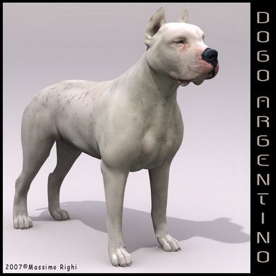 extensive dog 2 fbx - 12 Dogs Collection (2) by Massimo Righi