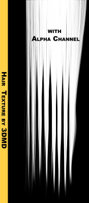 blondeHairTexture_070.tga