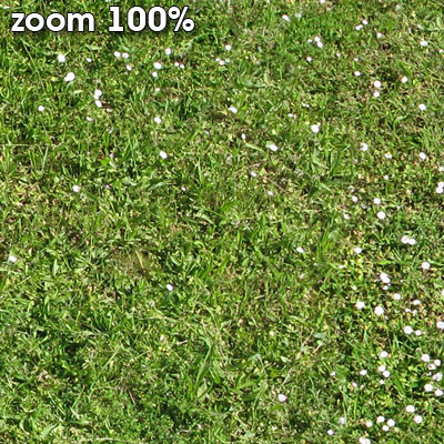 Grass Textures vol.2 2048x2048