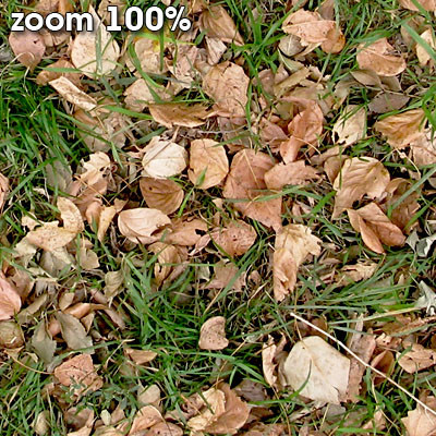 Grass Textures vol.2 2048x2048