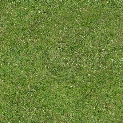 Grass Textures vol.2 2048x2048