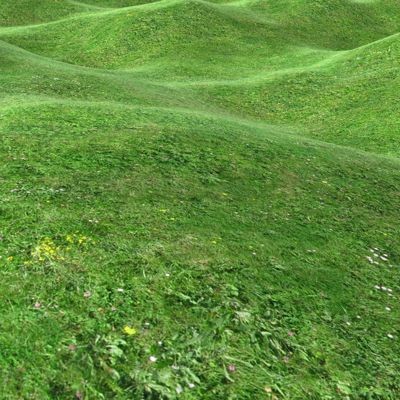 Grass Textures vol.2 2048x2048