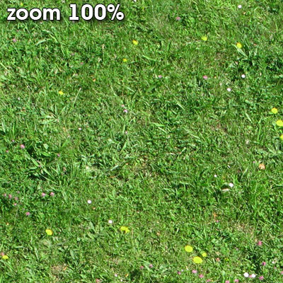 Grass Textures vol.2 2048x2048