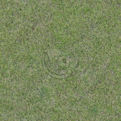 Grass Textures vol.2 2048x2048