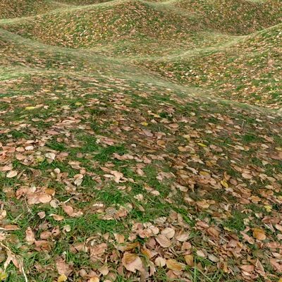 Grass Textures vol.2 2048x2048