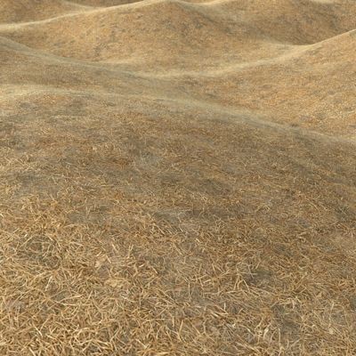 Grass Textures vol.2 2048x2048