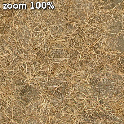 Grass Textures vol.2 2048x2048