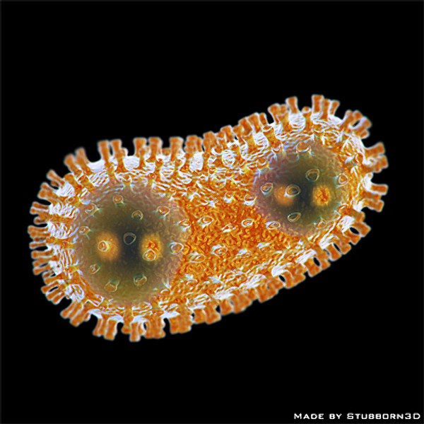 Microscopic Collection