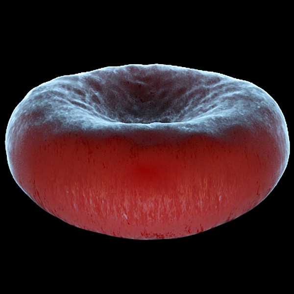 Microscopic Collection